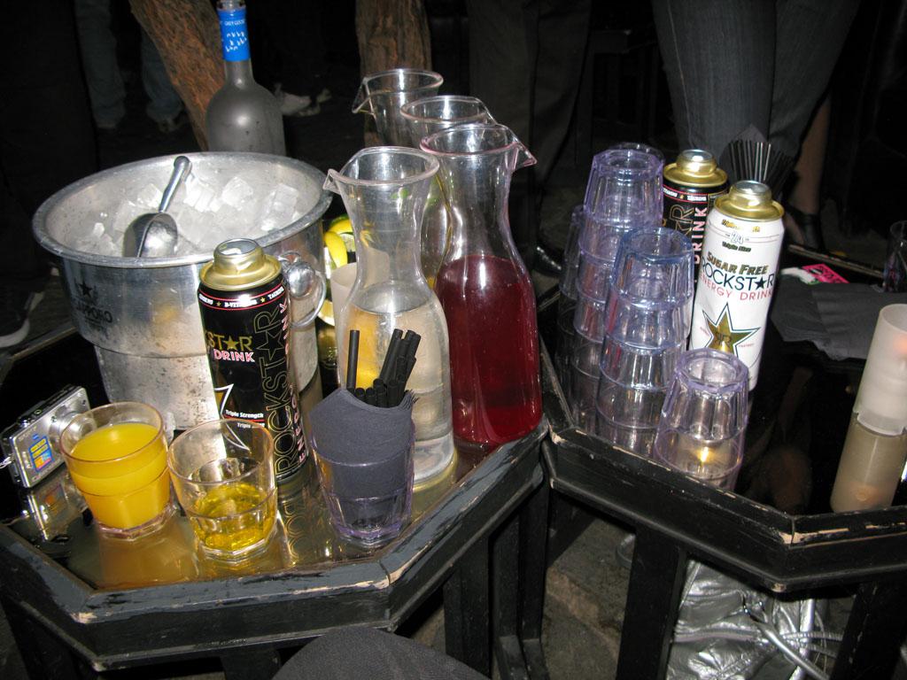 vickybotparty106