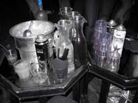 vickybotparty105