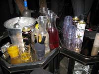 vickybotparty106